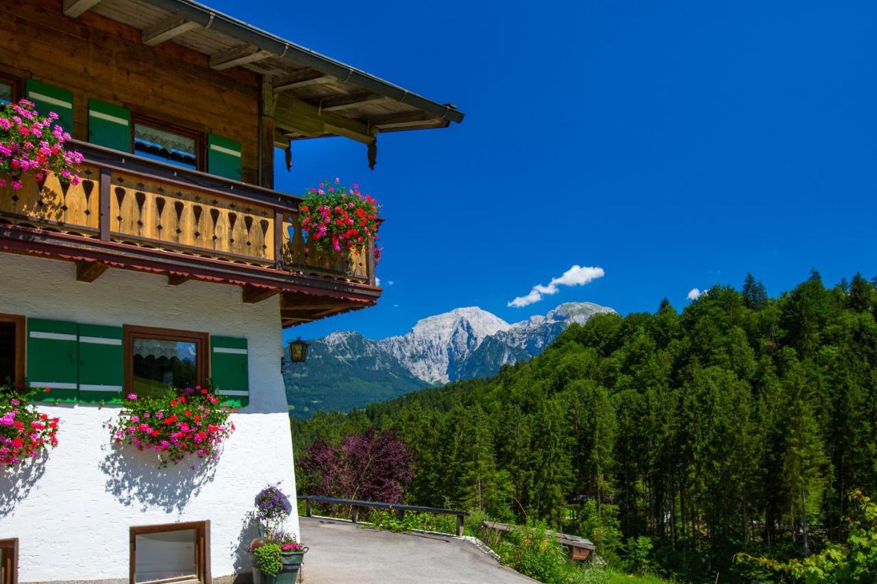 Ferienhaus Wiesenlehen 比绍夫斯维森 外观 照片